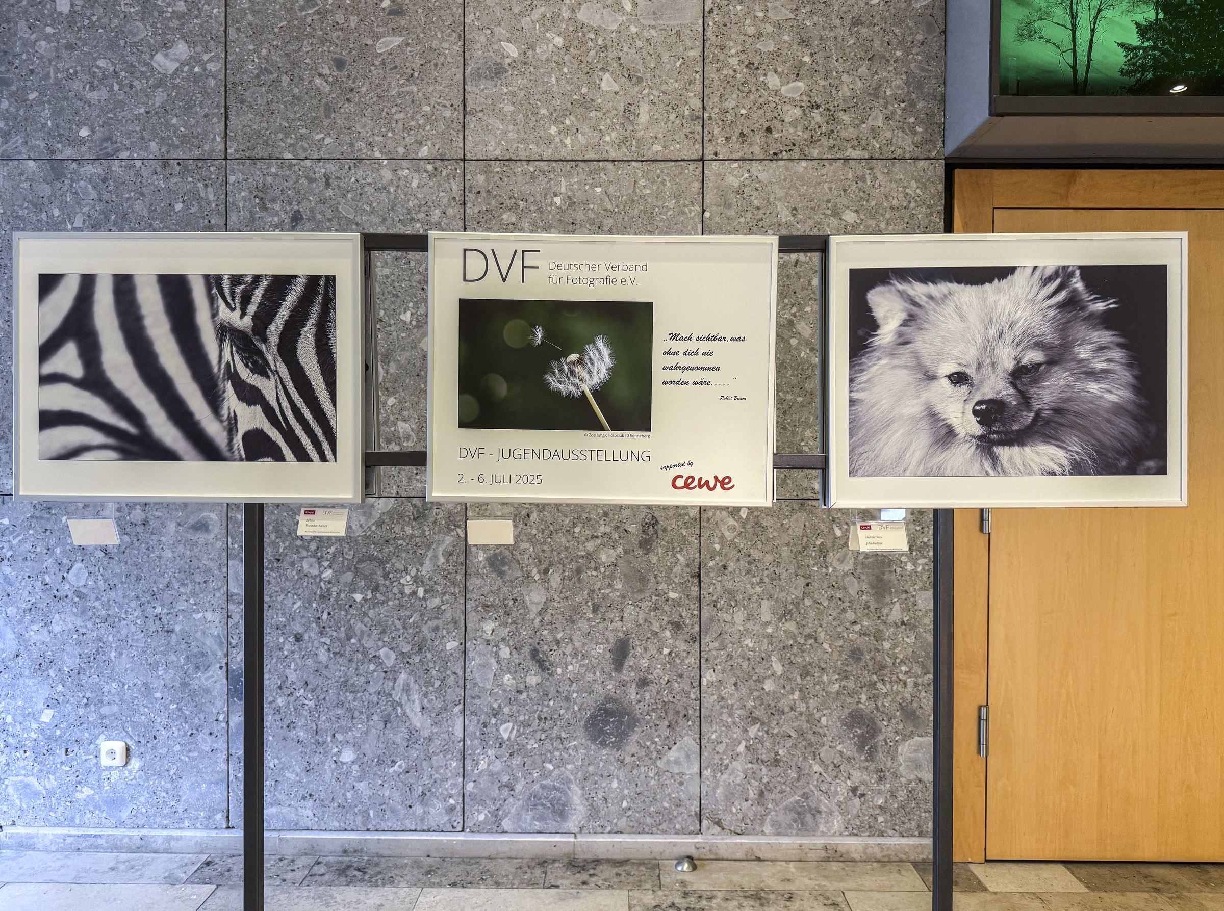 Gerahmte Arbeiten junger Fotografierender in der DVF-Jugendausstellung Oberstdorf 2025